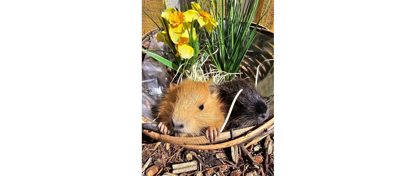 Отдых на природе