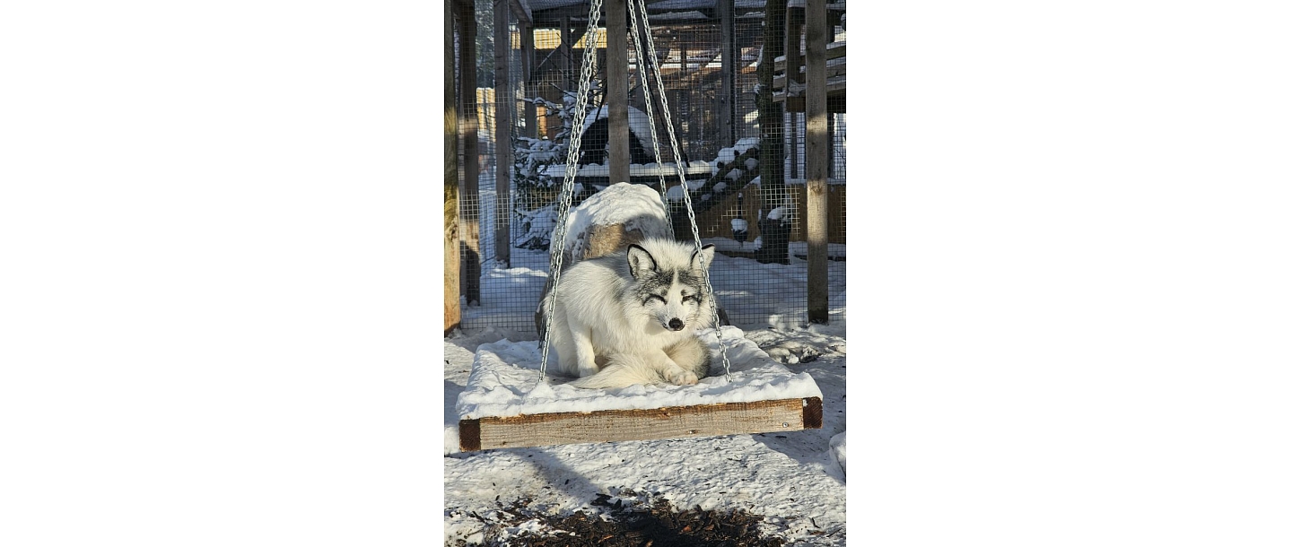 Zooloģiskais dārzs Kazdangā