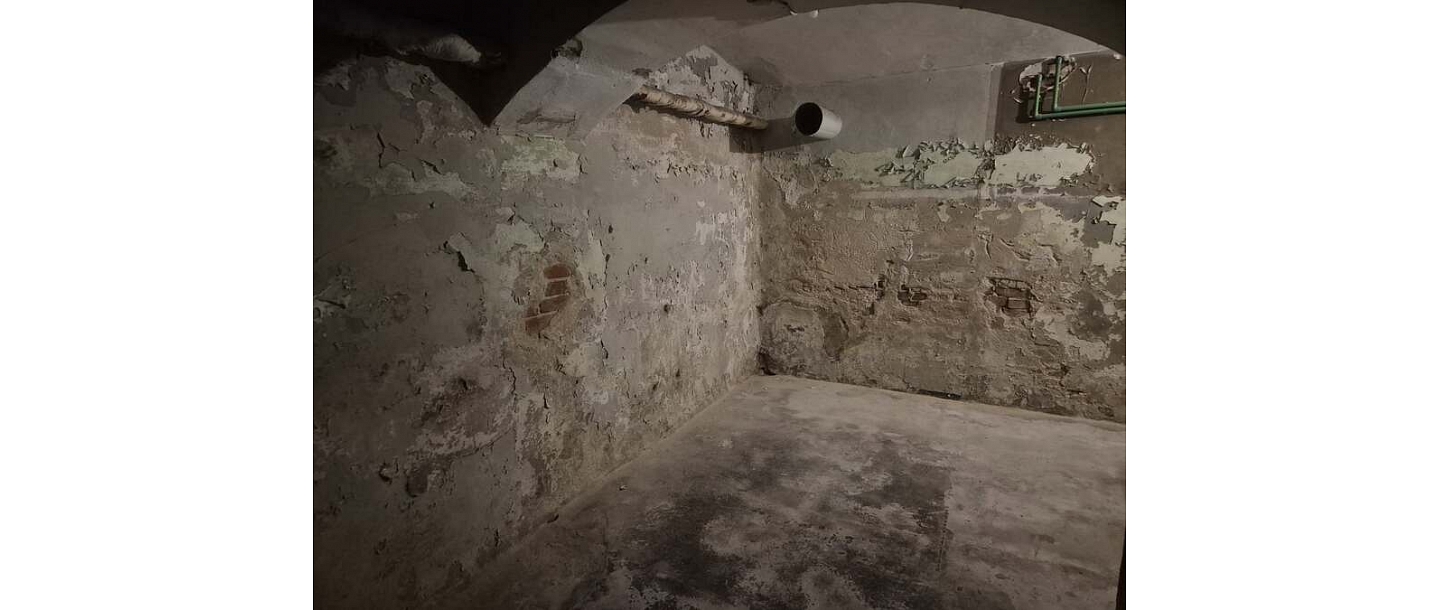 Damp Detectives basement diagnostics