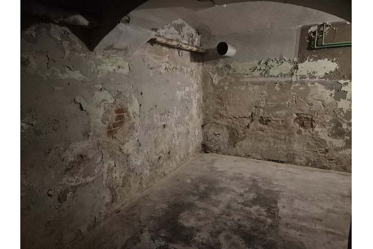 Диагностика подвалов от компании Damp Detectives