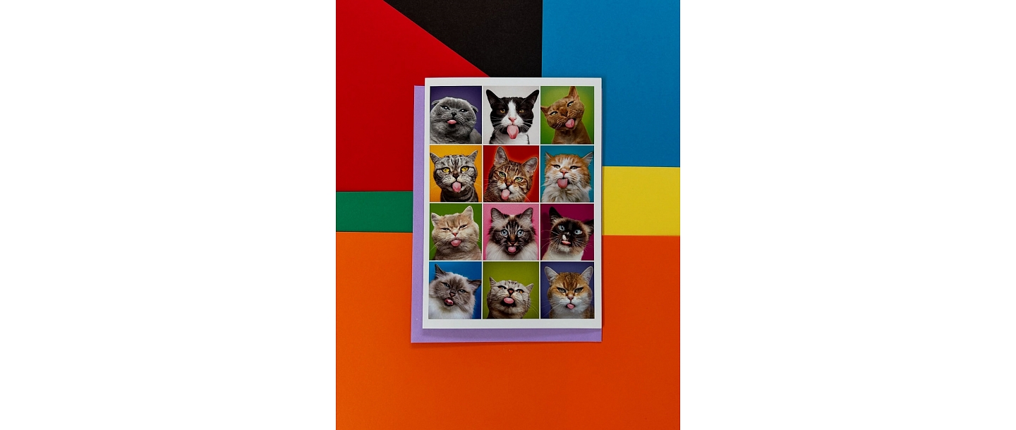 Веселые приветствия