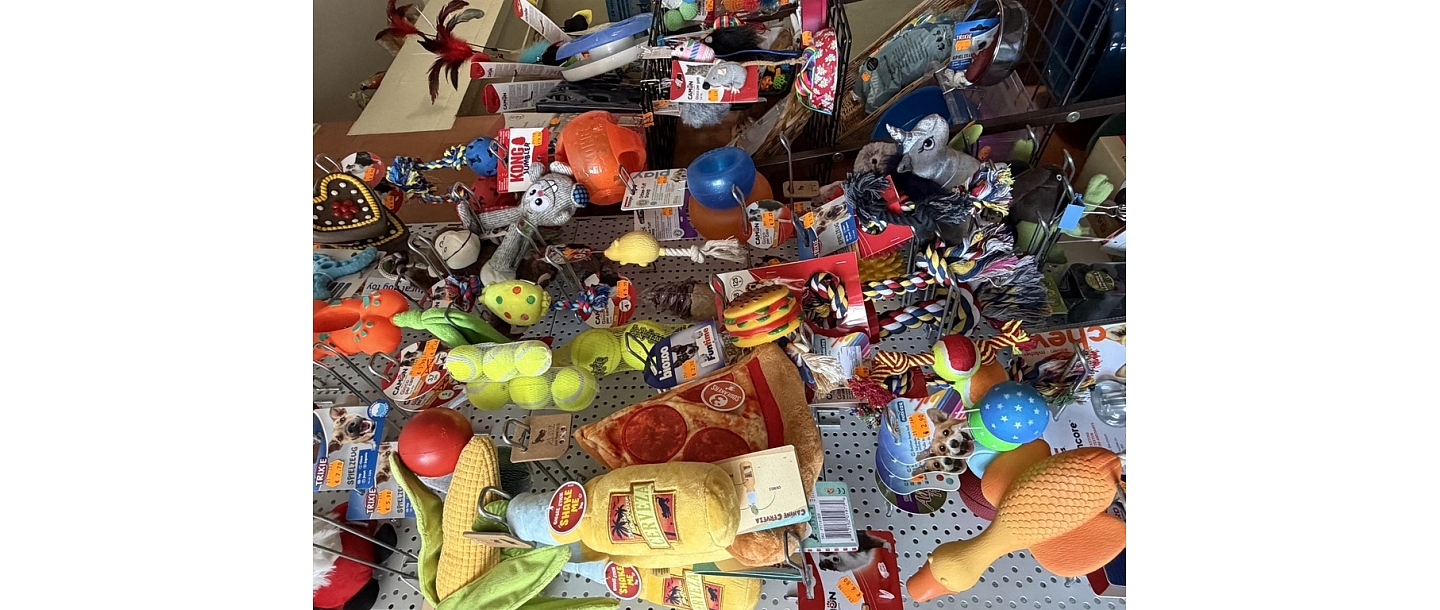 Toys and accessories for an active and happy pet.