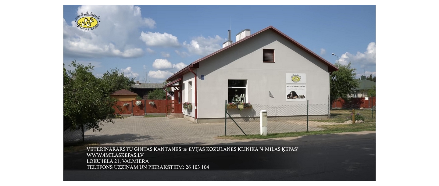4 Love Paws – location, where animal health and well-being are taken care of.