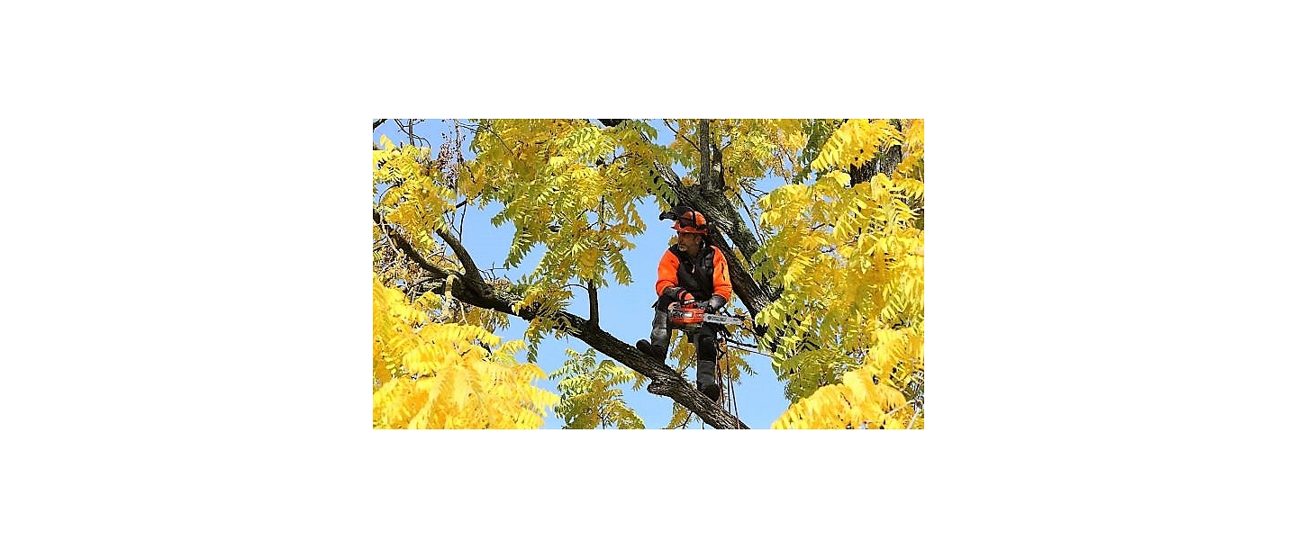 Garden equipment and tools