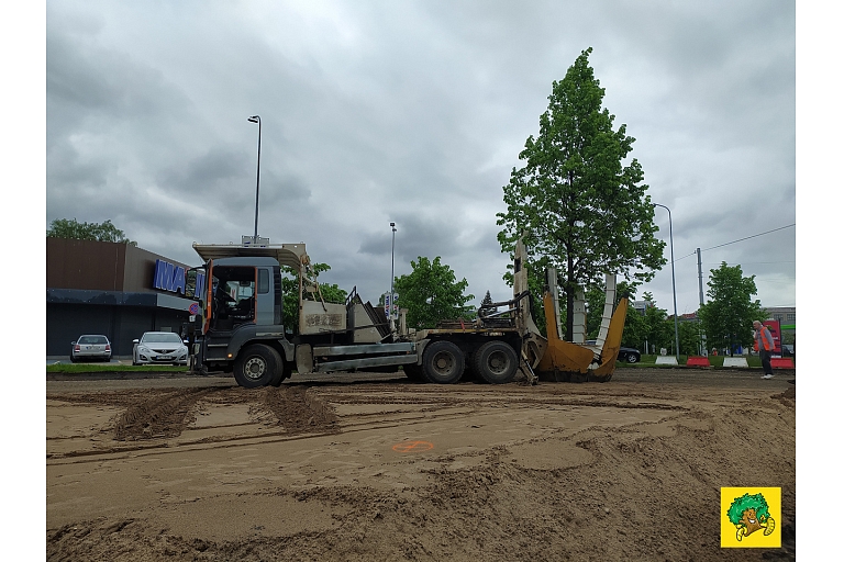 Деревья ходят
