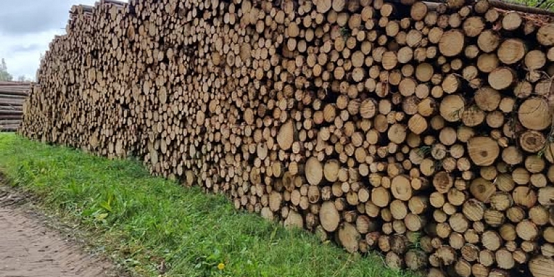 Транспортировка лесоматериалов