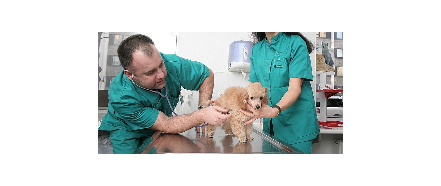 Diennakts veterinārā klīnika