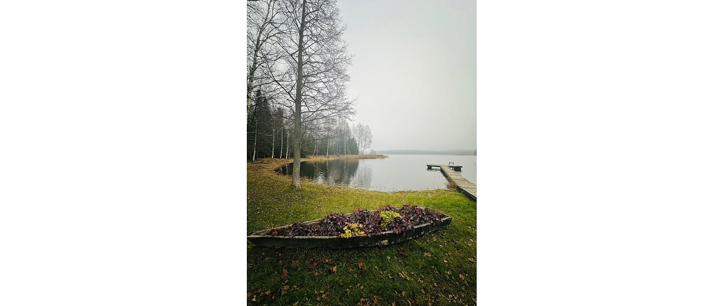 Niedru pļaušana un izcelšana