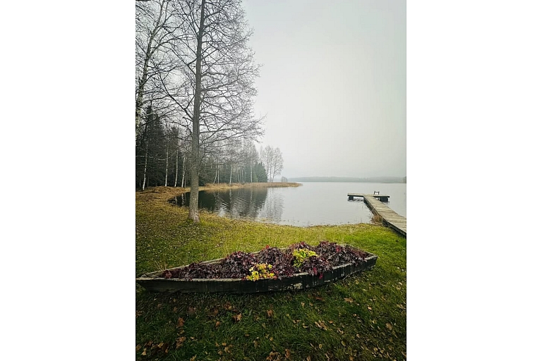 Срезка и выкапывание тростника