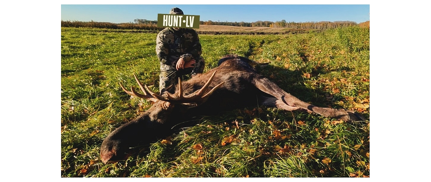 Hunting trip in Europe – red deer and elk hunting