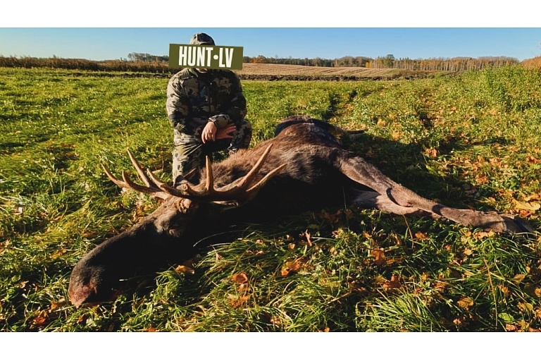 Охотничий тур в Европе – охота на благородного оленя и лося