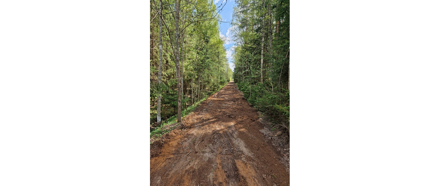 Buying forest properties in Vidzeme