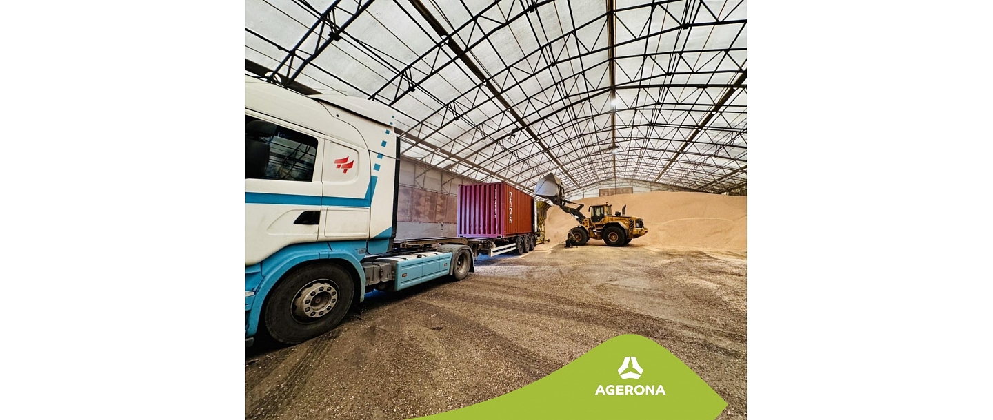 Graudu iepirkšana Latvijā