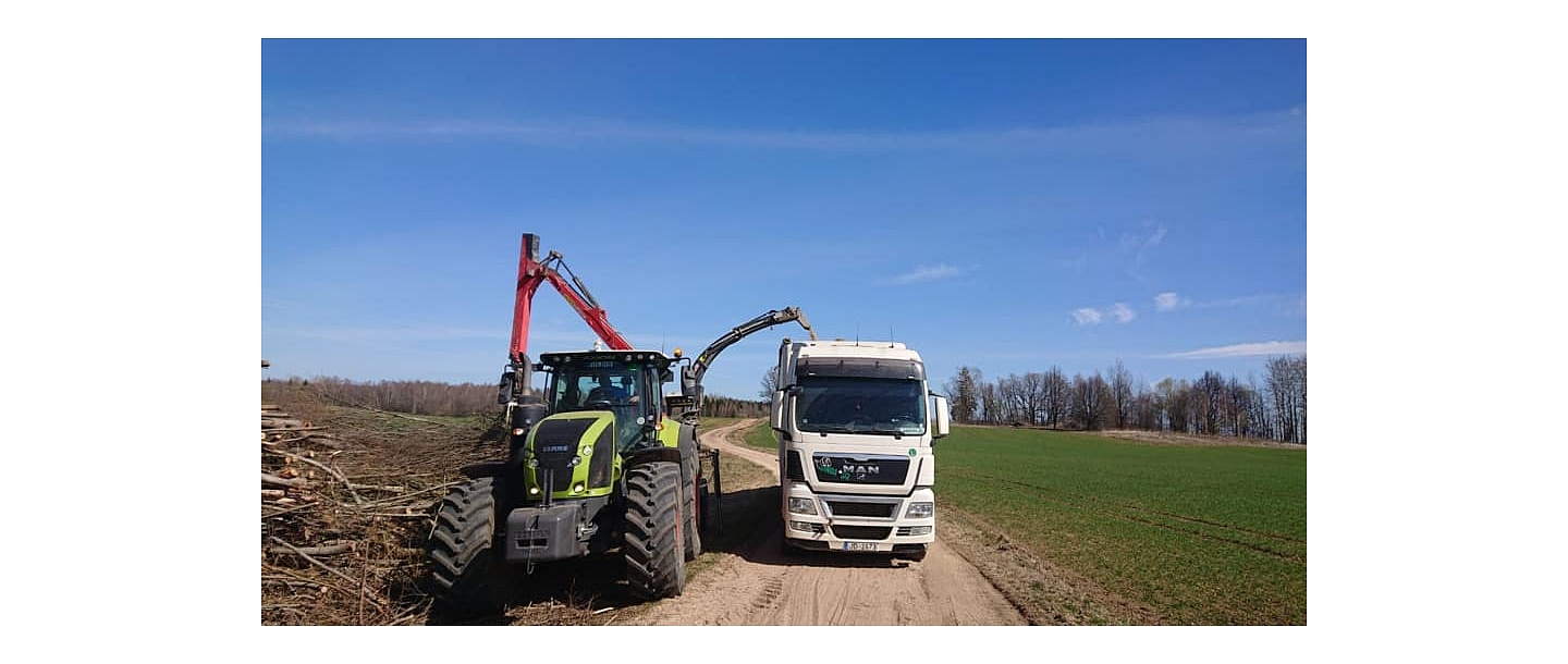 Buying branches and wood scraps