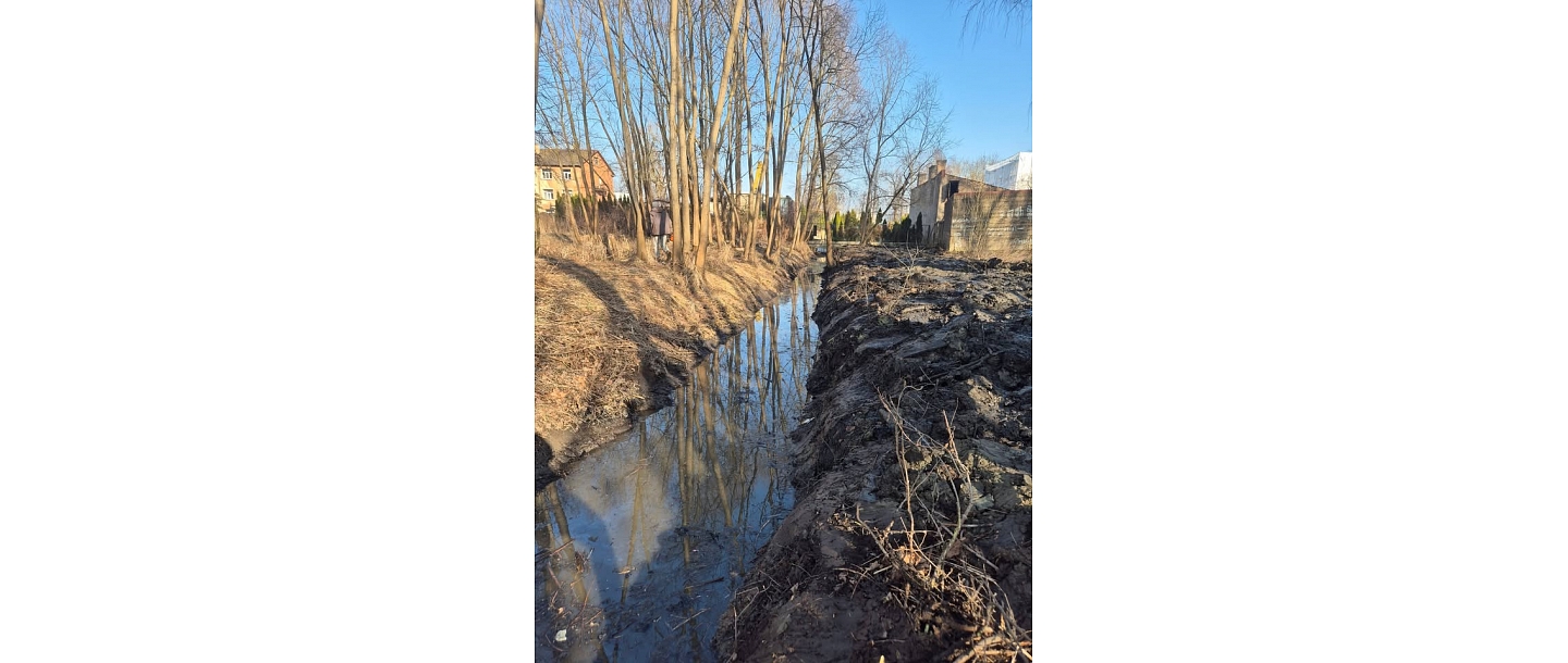 Cleaning the ditch from overgrowth