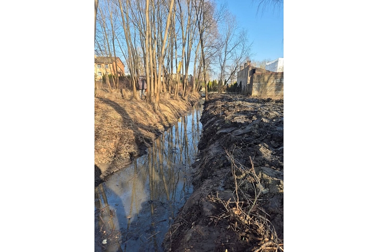 Cleaning the ditch from overgrowth