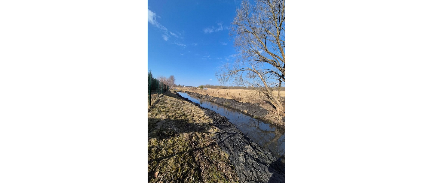 Cleaning the ditch from overgrowth