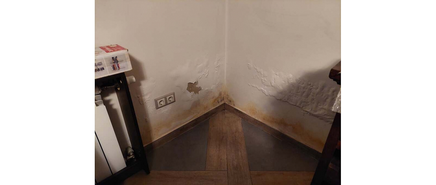 Damp Detectives moisture inspection
