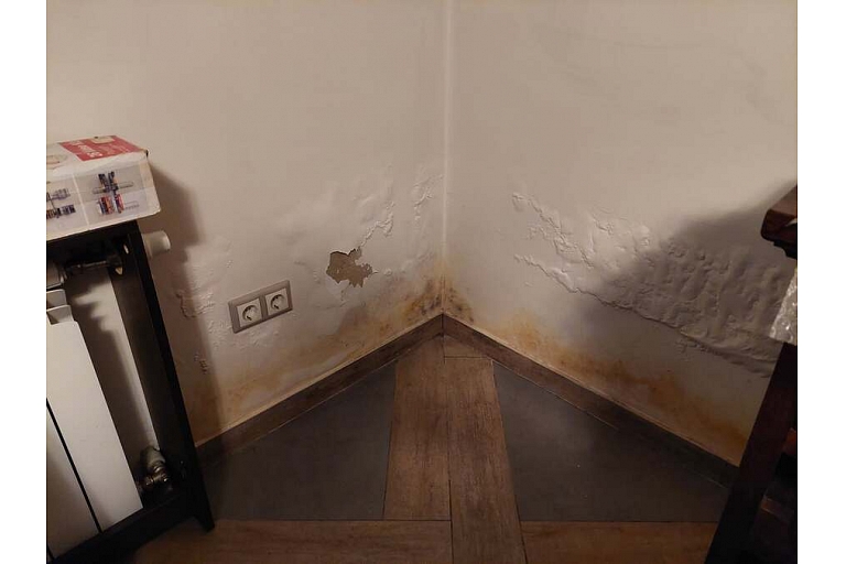 Damp Detectives mitruma ekspertīze