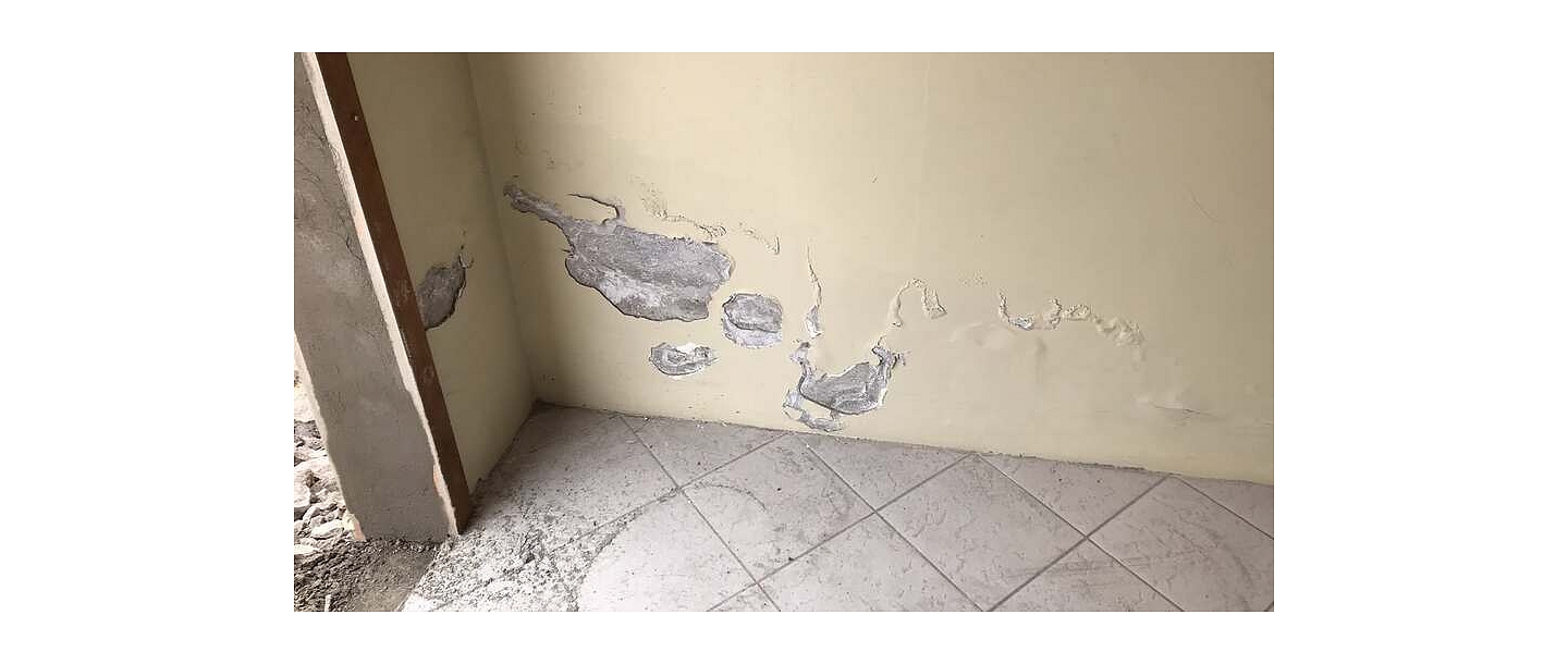 Damp Detectives sienu diagnostika