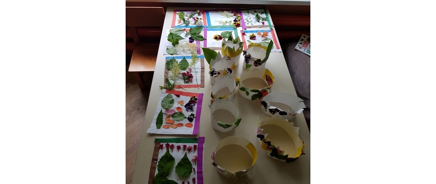 Interešu izglītība