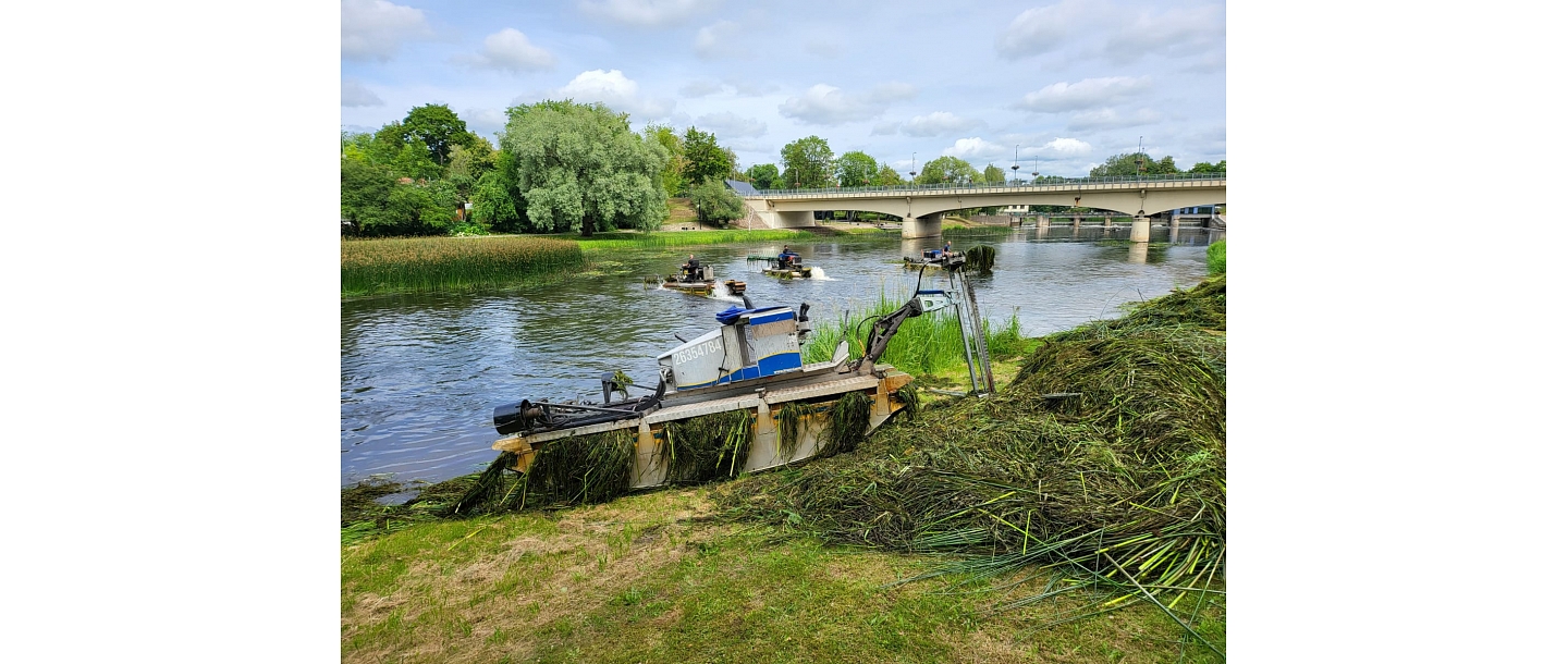 Cleaning of aquatic plants