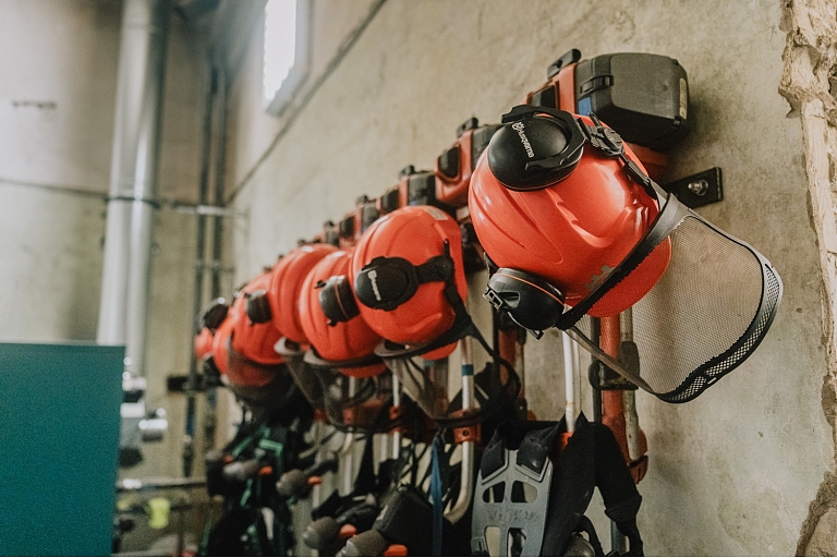 Young growth care and forest management in Kurzeme