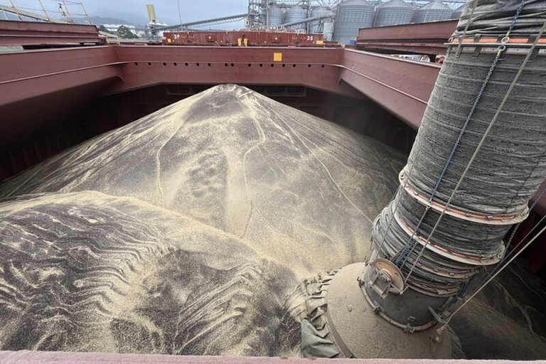 Purchase of grains