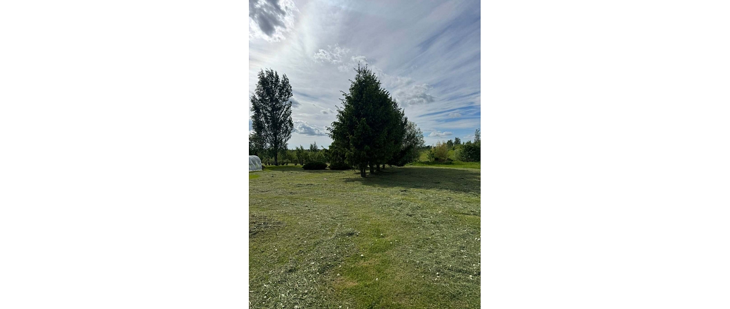 Maintaining large areas