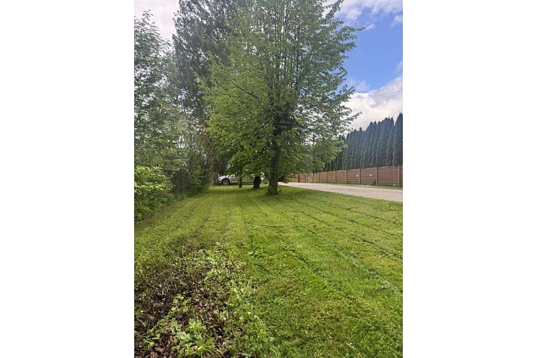Grass cutting works