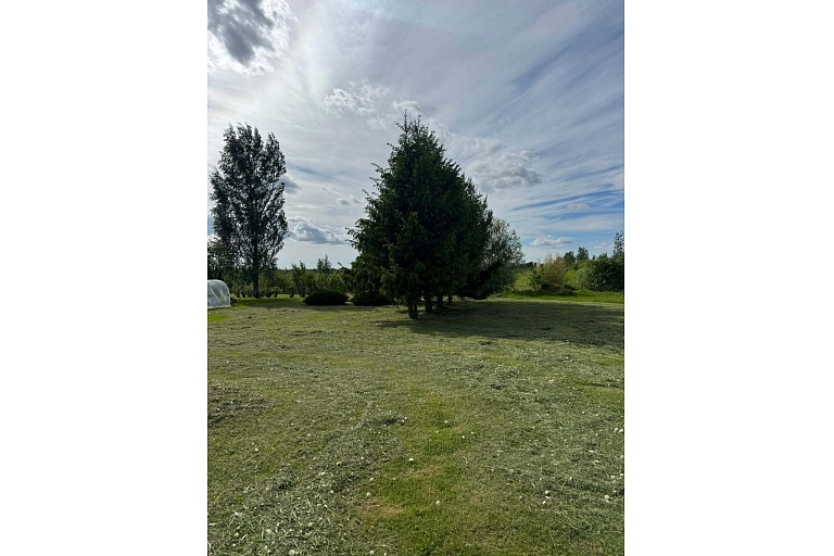 Maintaining large areas