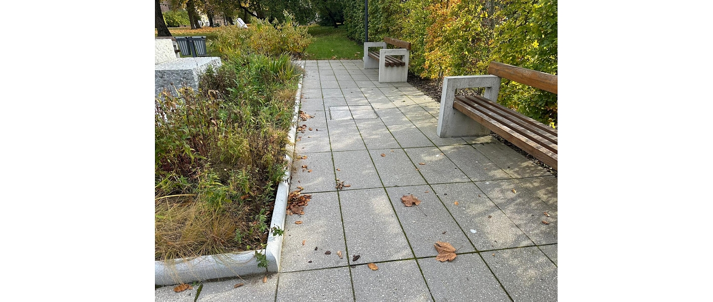 LAT SLABS produkcija
