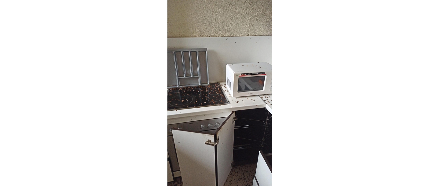 Profesionāla kaitēkļu kontrole