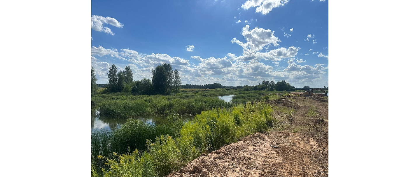 Cleaning up a water body