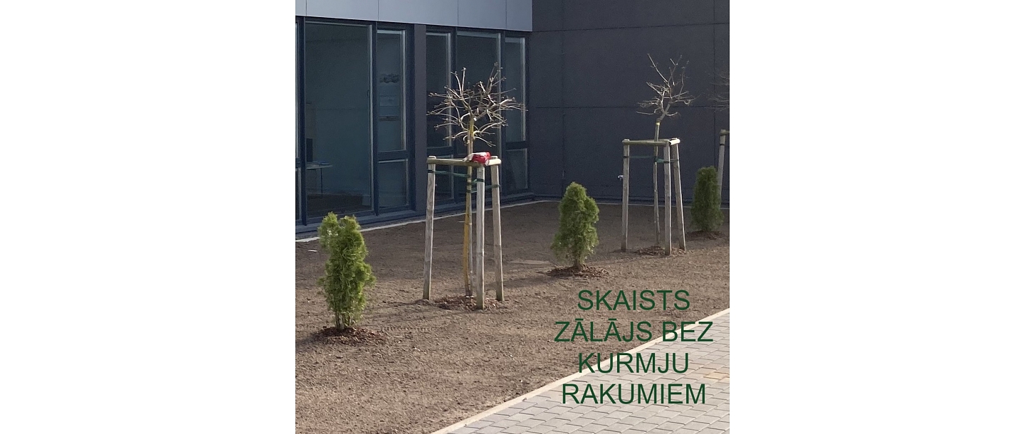 Zālājs bez kurmju rakumiem