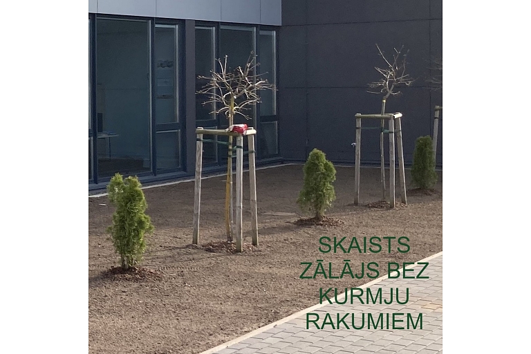 Zālājs bez kurmju rakumiem
