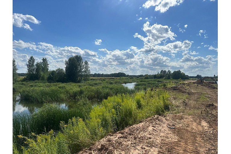 Cleaning up a water body