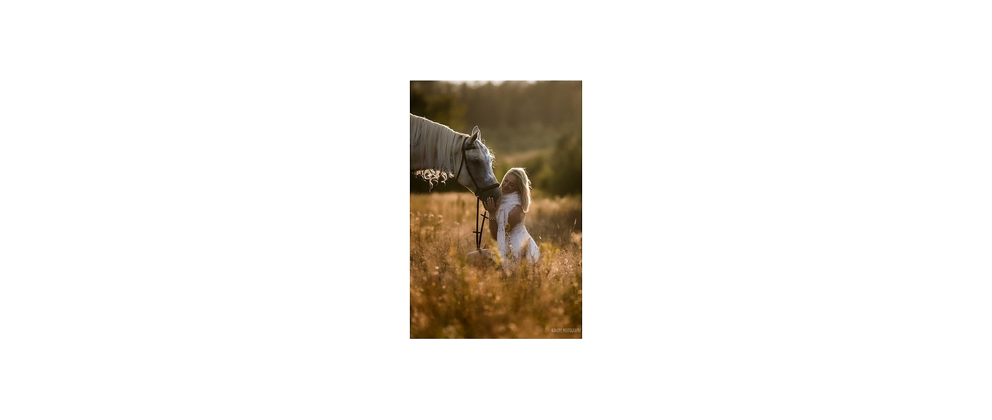 Photo session with horses