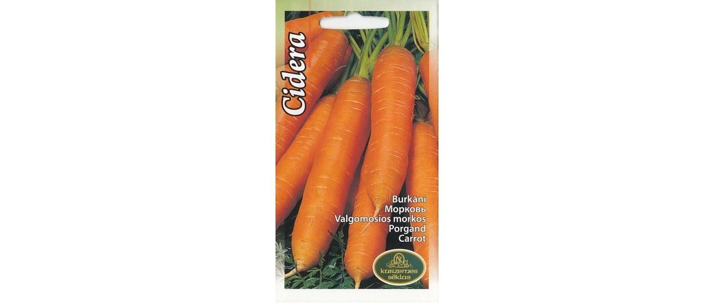 Carrot seeds
