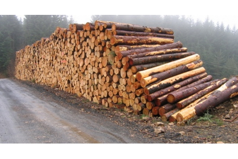 Tree purchase in log yards