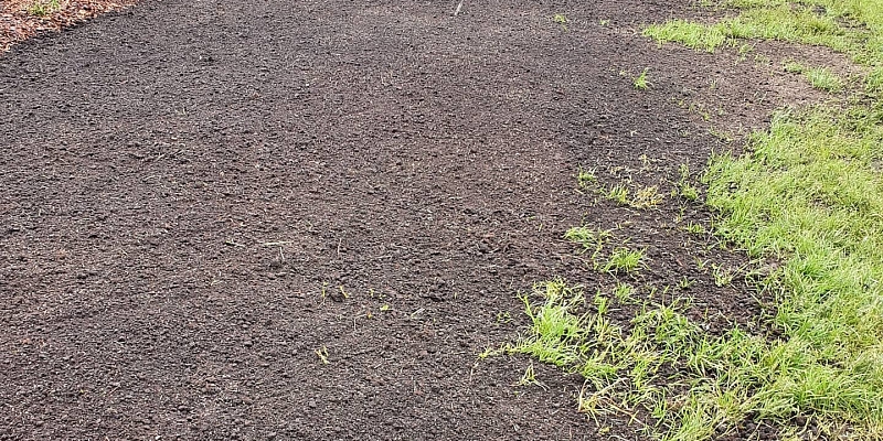 Lawn seeding