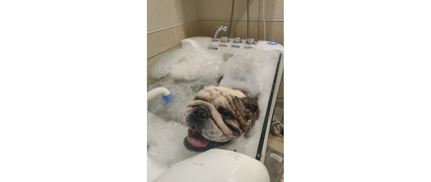 Zoopreces, dzīvnieku kopšana un aprūpe