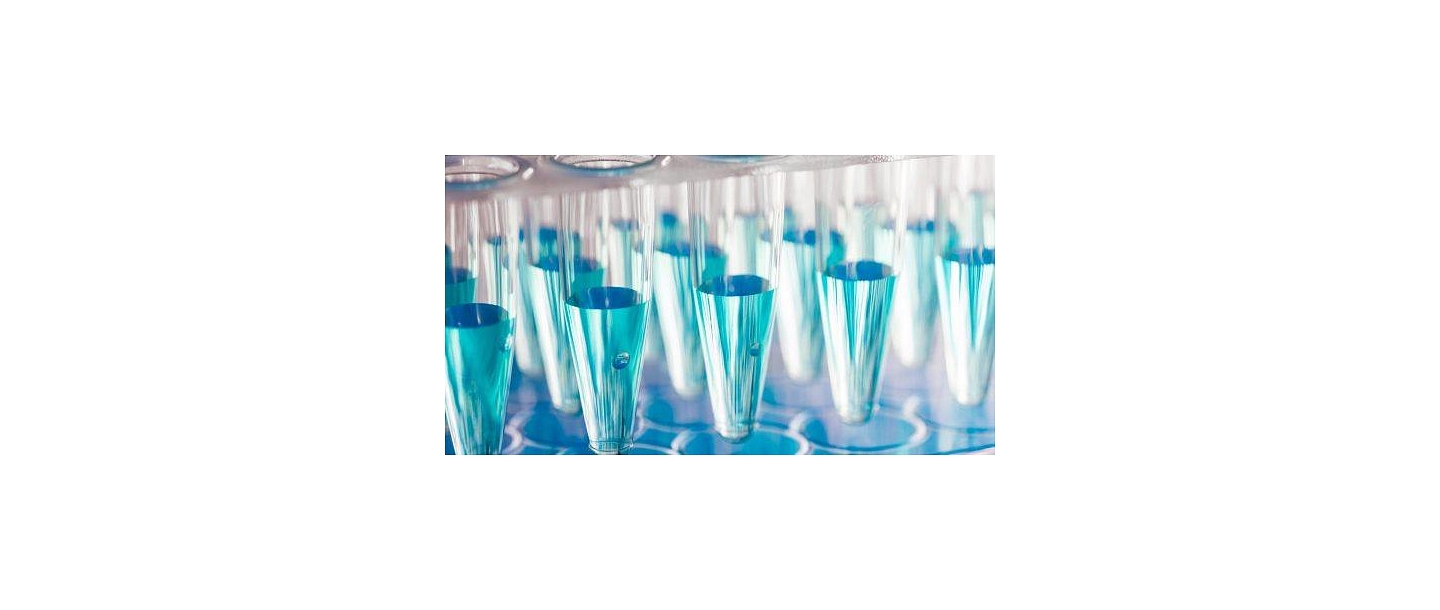 "Binding Site" produkti