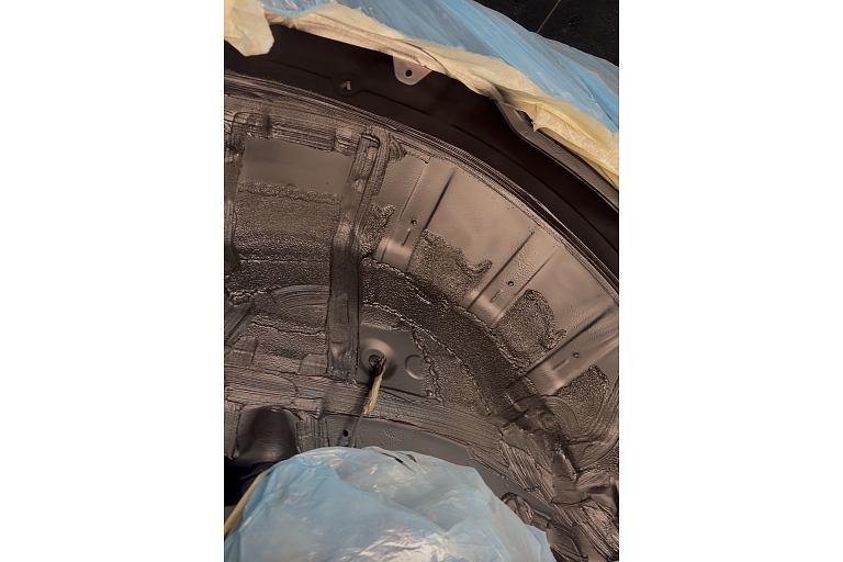 CryoCar professional service