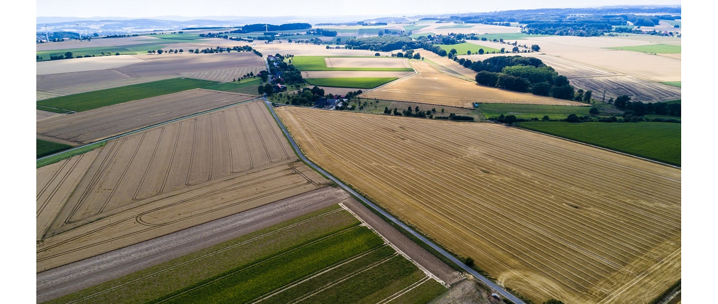 Acquisition of agricultural lands and homesteads