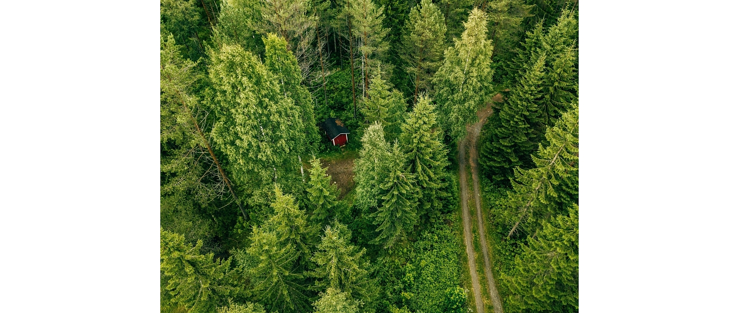 Purchase of forest property