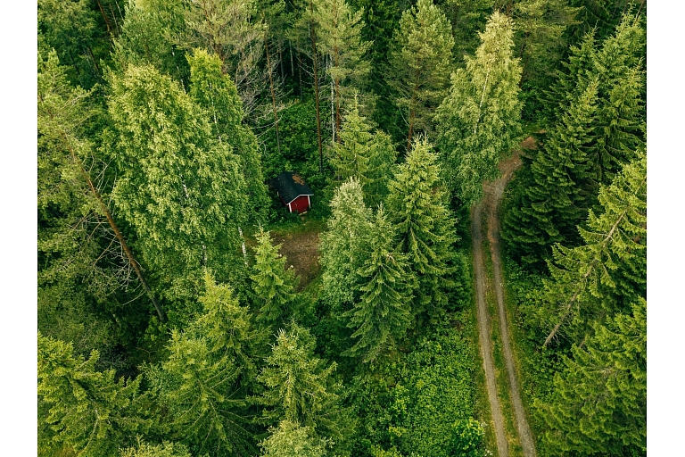 Purchase of forest property