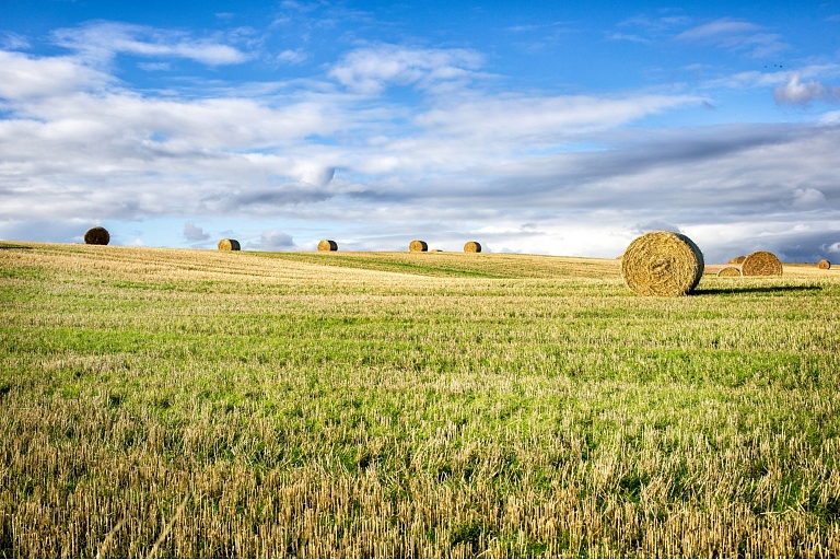 acquisition of agricultural lands