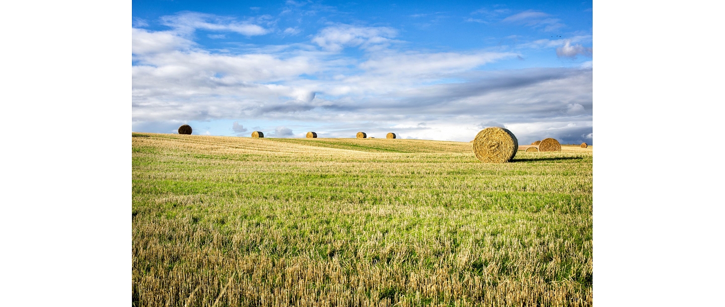 acquisition of agricultural lands