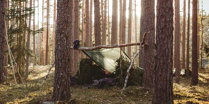 Izdzīvošanas akadēmija